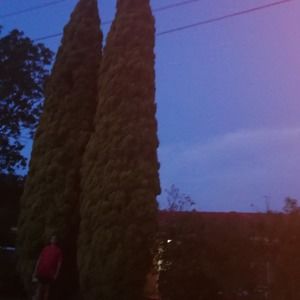 Meet your Posher, Margarita